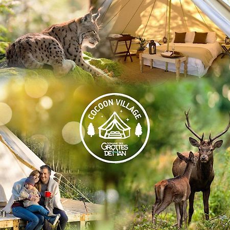 Cocoon Village - Glamping - Domaine Des Grottes De Han Rochefort Exterior photo